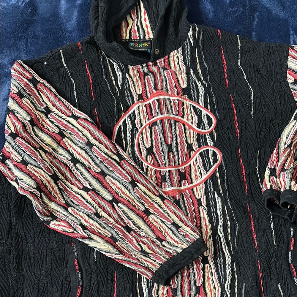 COOGI Multicolor Textured Sweater with Hood